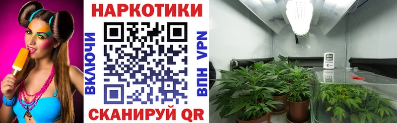 Наркота Новая Ладога Конопля Меф Cocaine omg рабочий сайт ГАШИШ