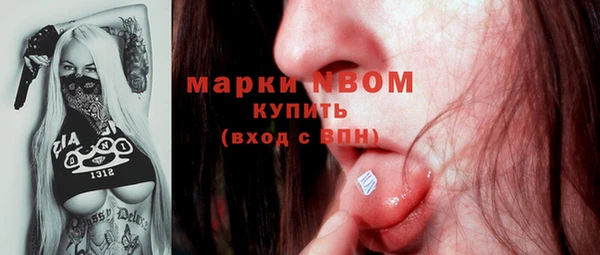 СК Алексин