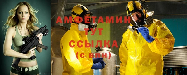 СК Алексин