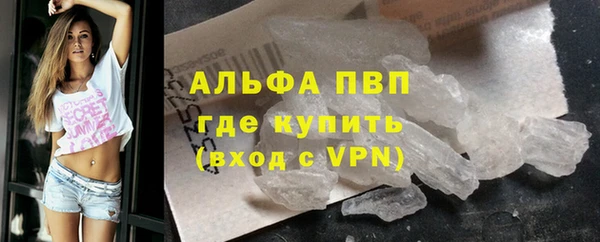 СК Алексин
