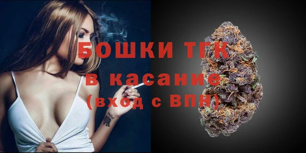 СК Алексин