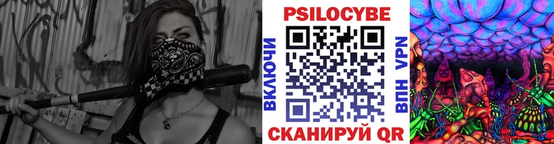 даркнет как зайти  Новая Ладога  Галлюциногенные грибы прущие грибы 